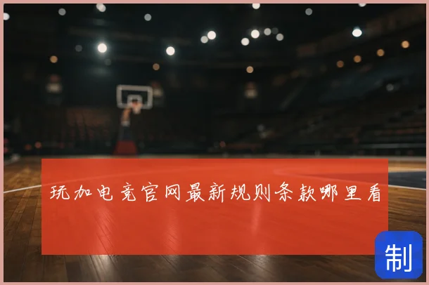 玩加电竞官网最新规则条款哪里看