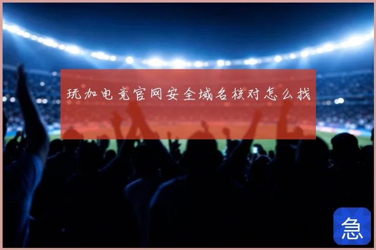 玩加电竞官网安全域名核对怎么找