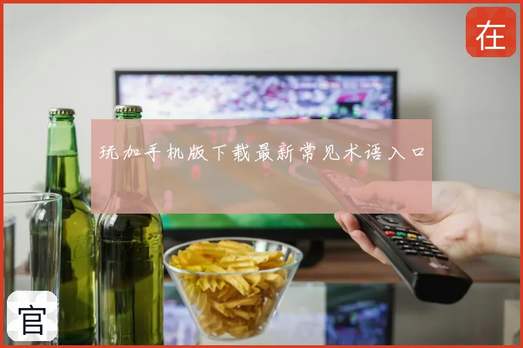 玩加手机版下载最新常见术语入口